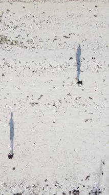 Tanzanya - Zanzibar plajında futbol oynayan dikey videocular, yavaş çekim