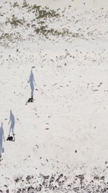 Tanzanya - Zanzibar plajında futbol oynayan dikey videocular, yavaş çekim