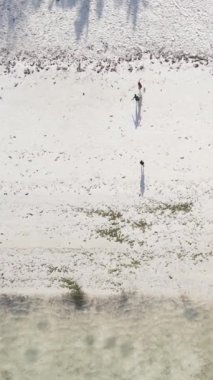 Tanzanya - Zanzibar plajında futbol oynayan dikey videocular, yavaş çekim