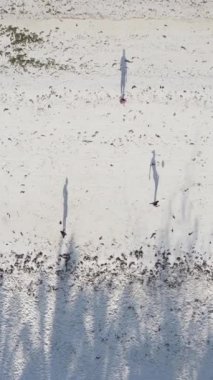 Tanzanya - Zanzibar plajında futbol oynayan dikey videocular, yavaş çekim