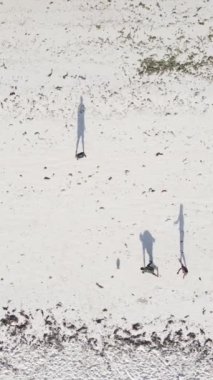 Tanzanya - Zanzibar plajında futbol oynayan dikey videocular, yavaş çekim