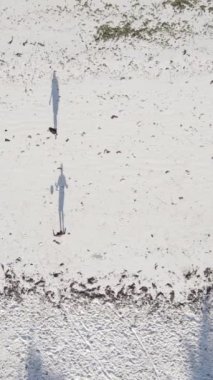 Tanzanya - Zanzibar plajında futbol oynayan dikey videocular, yavaş çekim