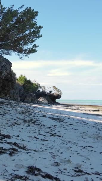 Tanzanie - vertikální video prázdná pláž na ostrově Zanzibar, zpomalení — Stock video