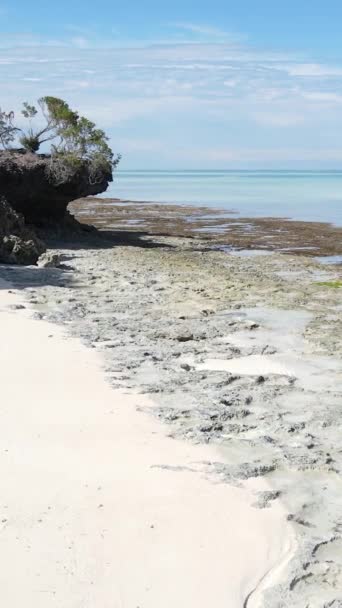 Tanzanie - vertikální video prázdná pláž na ostrově Zanzibar, zpomalení — Stock video