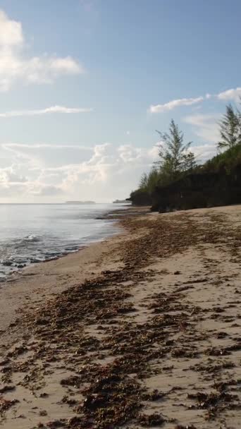 Tanzanie - vertikální video prázdná pláž na ostrově Zanzibar, zpomalení — Stock video