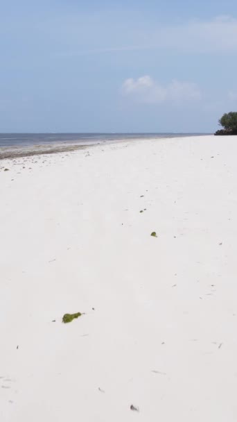 Tansania - vertikales Video leerer Strand auf Sansibar Insel, Zeitlupe — Stockvideo
