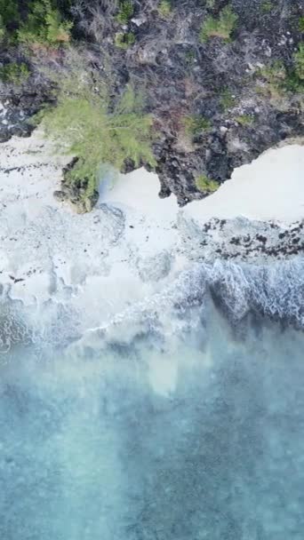 Tanzánia - függőleges videó üres strand Zanzibár szigetén, lassított felvétel — Stock videók