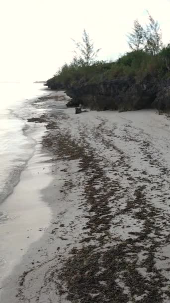 Tanzania - vertical video empty beach on Zanzibar island, slow motion — Stock Video