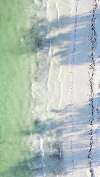 Tanzánia - függőleges videó üres strand Zanzibár szigetén, lassított felvétel — Stock videók