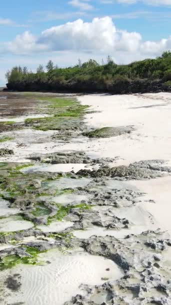 Tanzánia - függőleges videó üres strand Zanzibár szigetén, lassított felvétel — Stock videók