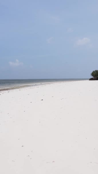 Tanzania - vertical video empty beach on Zanzibar island, slow motion — Stock Video