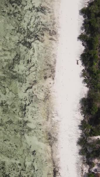 Tansania - vertikales Video leerer Strand auf Sansibar Insel, Zeitlupe — Stockvideo