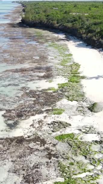 Tanzanie - vertikální video prázdná pláž na ostrově Zanzibar, zpomalení — Stock video
