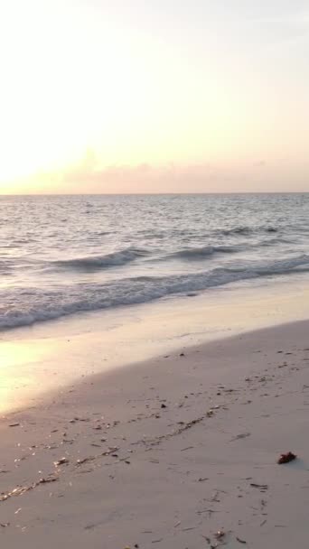 Tanzanie - vidéo verticale plage vide sur l'île de Zanzibar, au ralenti — Video