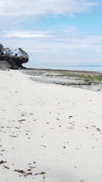 Tanzania - pionowa plaża na wyspie Zanzibar, zwolnione tempo — Wideo stockowe