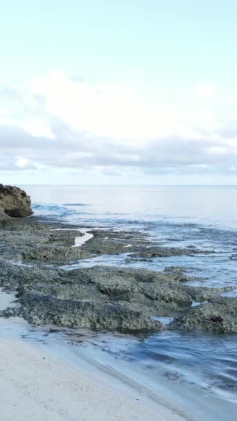 Tanzanie - vertikální video prázdná pláž na ostrově Zanzibar, zpomalení — Stock video