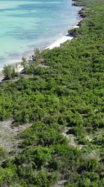 Tanzanya - Zanzibar adasının kıyıları çalılıklarla kaplı, yavaş çekim