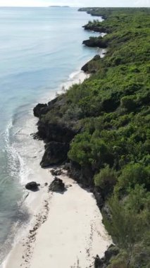 Tanzanya - Zanzibar adasının kıyıları çalılıklarla kaplı, yavaş çekim