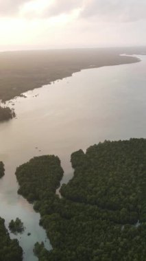Tanzanya - Zanzibar adasının kıyıları çalılıklarla kaplı, yavaş çekim