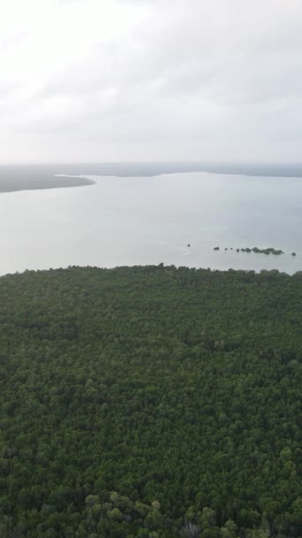 Τανζανία - ακτή της Ζανζιβάρης νησί καλύπτεται με πυκνότητες, αργή κίνηση — Αρχείο Βίντεο
