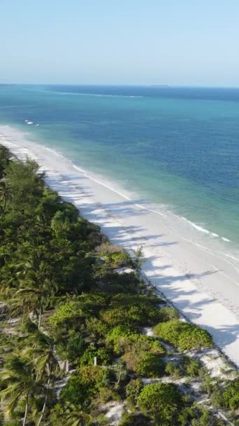 Tanzania - costa dell'isola di Zanzibar ricoperta di boscaglie, rallentatore — Video Stock