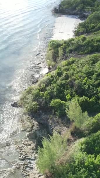 Tanzania - coast of Zanzibar island covered with thickets, slow motion — Stock Video