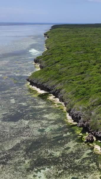Tanzania - wybrzeże wyspy Zanzibar pokryte gęstwinami, zwolnione tempo — Wideo stockowe