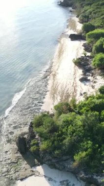 Tanzanya - Zanzibar adasının kıyıları çalılıklarla kaplı, yavaş çekim