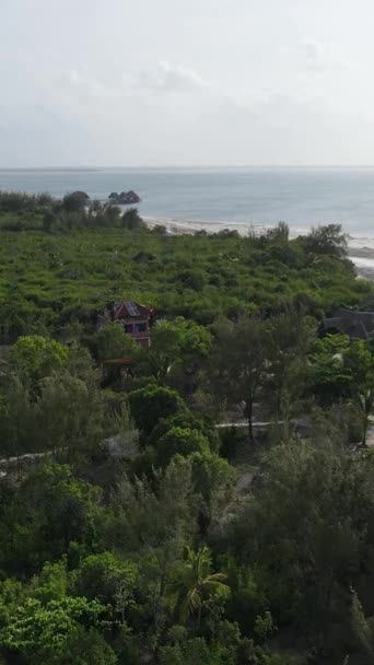 Tanzanya - Zanzibar adasının kıyıları çalılıklarla kaplı, yavaş çekim — Stok video