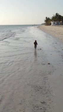 Tanzanya - Zanzibar 'daki kıyı manzarasının dikey videosu, yavaş çekim