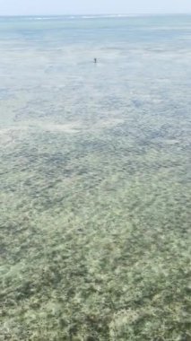 Tanzanya - Zanzibar 'daki kıyı manzarasının dikey videosu, yavaş çekim