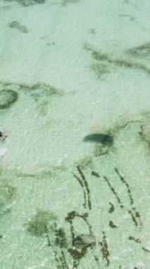 Tanzanya - Zanzibar kıyısında dikey video uçurtması, yavaş çekim