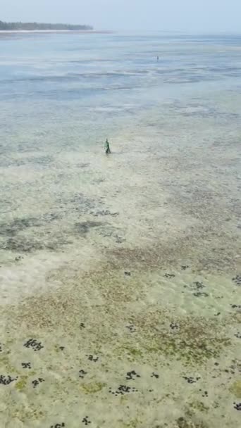Tanzania - vertical video of a coastal landscape in Zanzibar, slow motion — Stock Video
