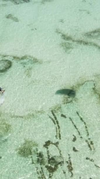 Tanzania - verticale video kitesurfen in de buurt van de kust van Zanzibar, slow motion — Stockvideo