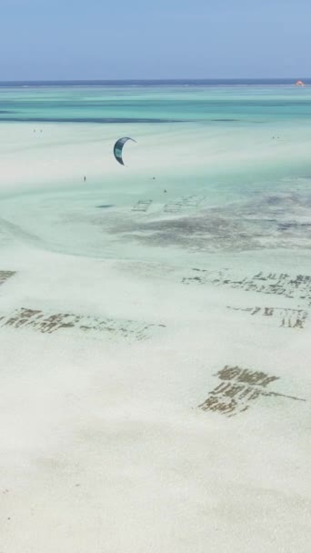 Tanzania - video kitesurf verticale vicino alla riva di Zanzibar, slow motion — Video Stock