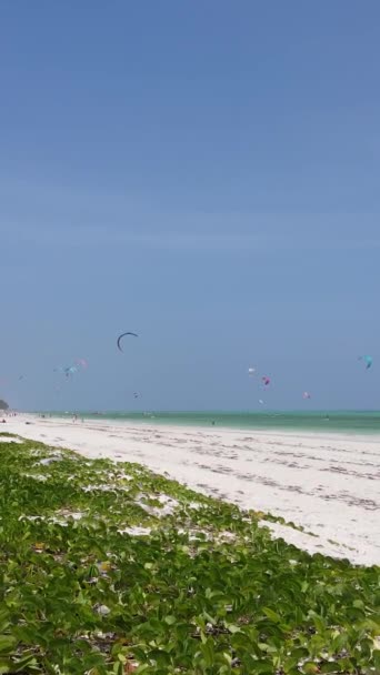 Tansania - vertikales Video-Kitesurfen in Küstennähe von Sansibar, Zeitlupe — Stockvideo
