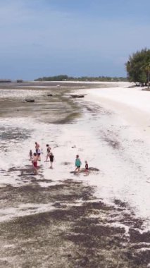Tanzanya - Zanzibar kıyıları yakınlarındaki okyanusta alçak gelgitin dikey videosu, yavaş çekim