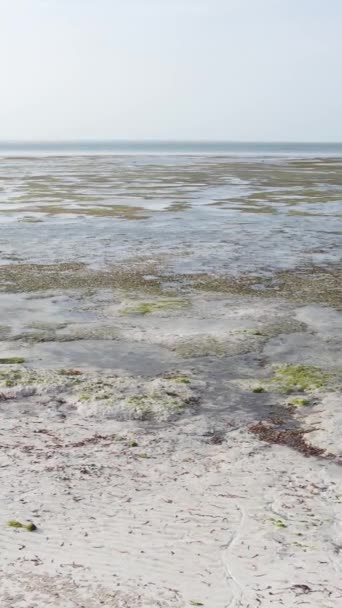 Tanzanya - Zanzibar kıyıları yakınlarındaki okyanusta alçak gelgitin dikey videosu, yavaş çekim — Stok video