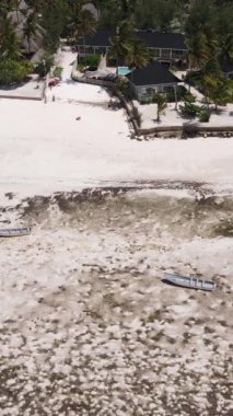 Tanzanya - Zanzibar kıyıları yakınlarındaki okyanusta alçak gelgitin dikey videosu, yavaş çekim