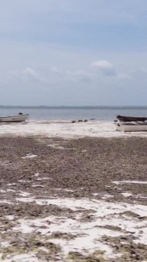Tanzanya - Zanzibar kıyıları yakınlarındaki okyanusta alçak gelgitin dikey videosu, yavaş çekim