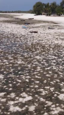 Tanzanya - Zanzibar kıyıları yakınlarındaki okyanusta alçak gelgitin dikey videosu, yavaş çekim