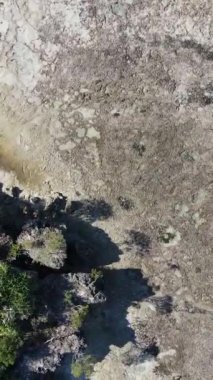 Tanzanya - Zanzibar kıyıları yakınlarındaki okyanusta alçak gelgitin dikey videosu, yavaş çekim