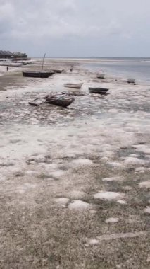 Tanzanya - Zanzibar kıyıları yakınlarındaki okyanusta alçak gelgitin dikey videosu, yavaş çekim