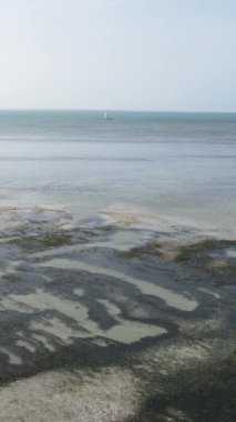 Tanzanya - Zanzibar kıyıları yakınlarındaki okyanusta alçak gelgitin dikey videosu, yavaş çekim