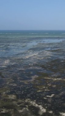 Tanzanya - Zanzibar kıyıları yakınlarındaki okyanusta alçak gelgitin dikey videosu, yavaş çekim