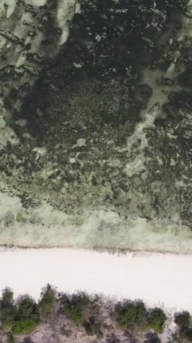 Tanzanya - Zanzibar kıyıları yakınlarındaki okyanusta alçak gelgitin dikey videosu, yavaş çekim