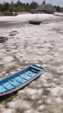 Tanzanya - Zanzibar kıyıları yakınlarındaki okyanusta alçak gelgitin dikey videosu, yavaş çekim