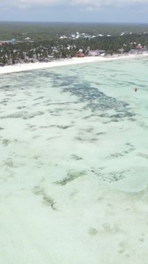 Tanzanya - Zanzibar kıyıları yakınlarındaki okyanusta alçak gelgitin dikey videosu, yavaş çekim