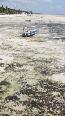 Tanzanya - Zanzibar kıyıları yakınlarındaki okyanusta alçak gelgitin dikey videosu, yavaş çekim