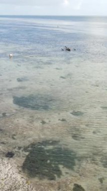 Tanzanya - Zanzibar kıyıları yakınlarındaki okyanusta alçak gelgitin dikey videosu, yavaş çekim